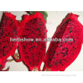 Red Dragon Fruit Seeds/Red Pitaya Seeds For Planting